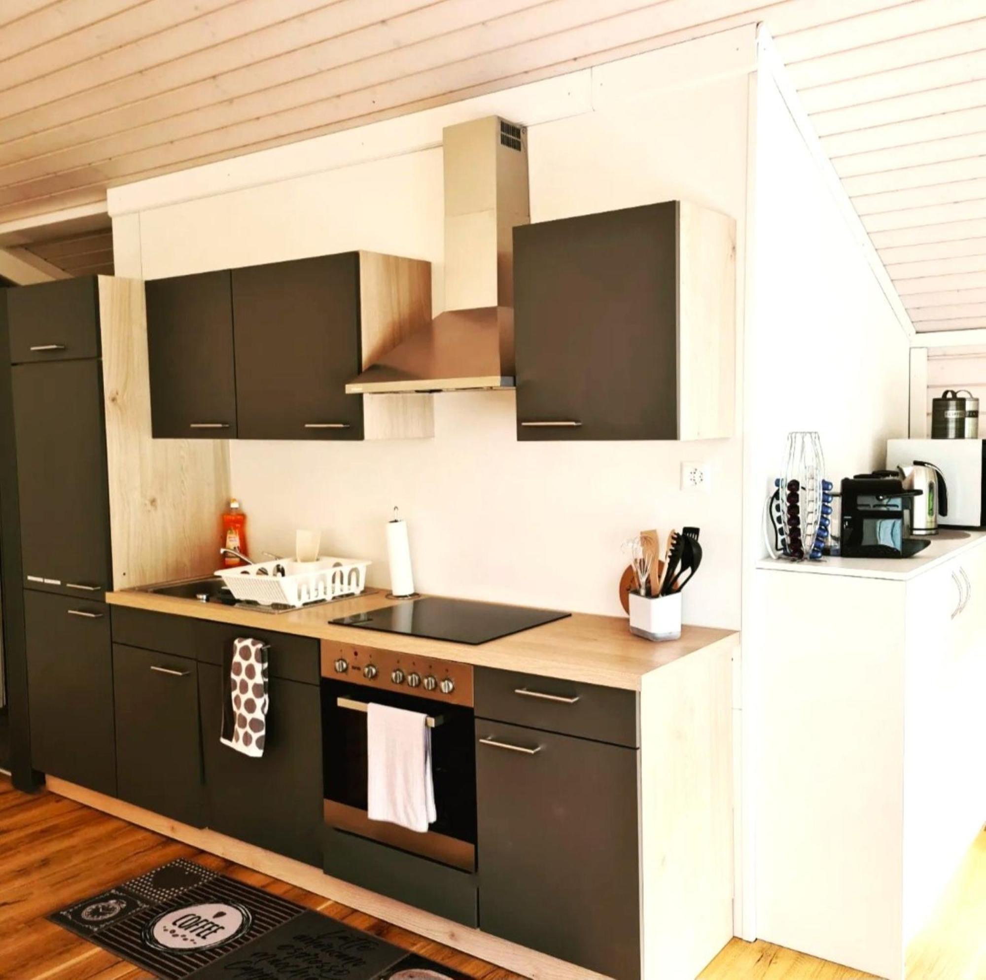 Muota River Loft & Muota Industry Apartment Near Stoos Muotathal Exterior foto