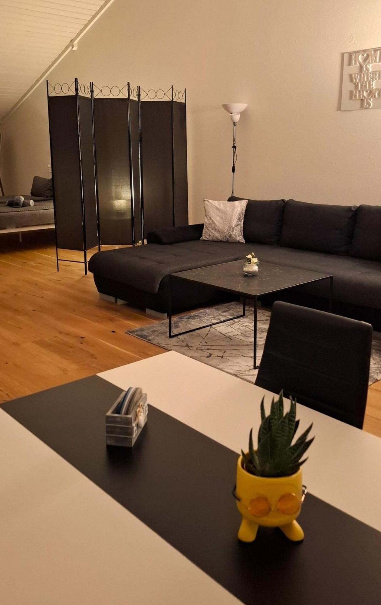 Muota River Loft & Muota Industry Apartment Near Stoos Muotathal Exterior foto